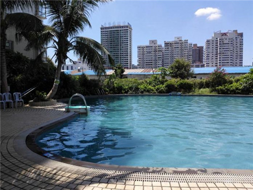 李功夫中华鸡排