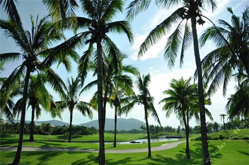 兄弟船日式料理