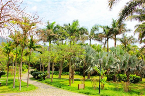 领夹麦克风加盟招商项目有哪些，领夹麦克风好用吗
