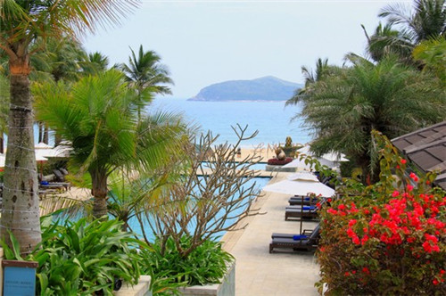 部落种树小游戏怎么玩（部落种树小游戏怎么玩视频）