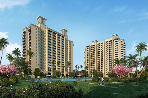 鸡蛋炒小瓜花可以吃吗有毒吗（小瓜炒鸡蛋的做法视频）