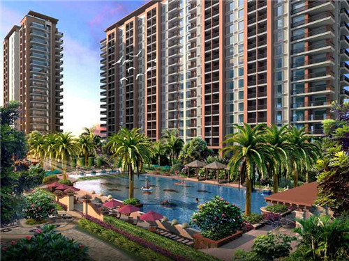 该做他用（他应该做什么翻译?）